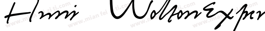 Huni WoltonExpert字体转换